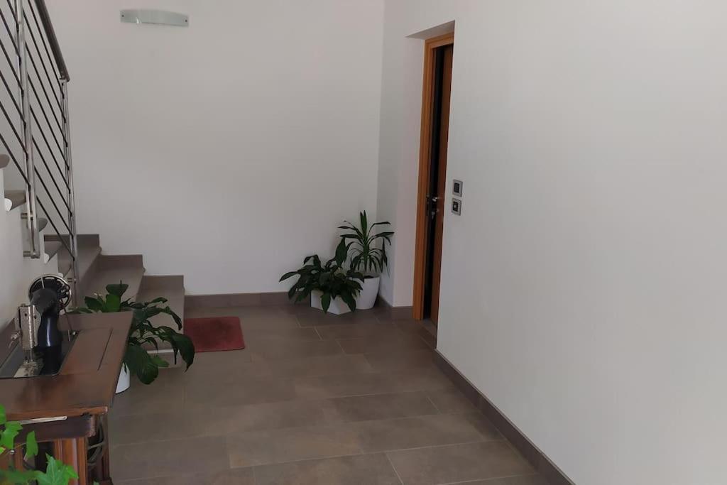Casa Mirella Apartment Vigolo Vattaro Ngoại thất bức ảnh